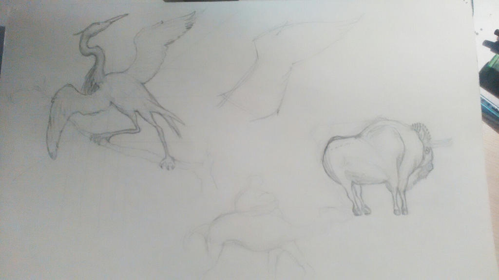 Day 1 (1/4) Animals