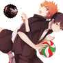 [Render] Hinata and Kageyama