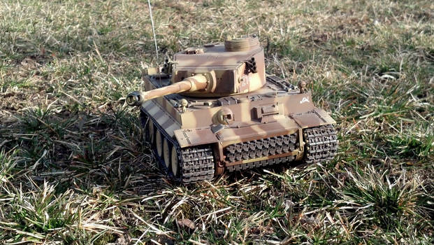 Tiger 1(photo2)