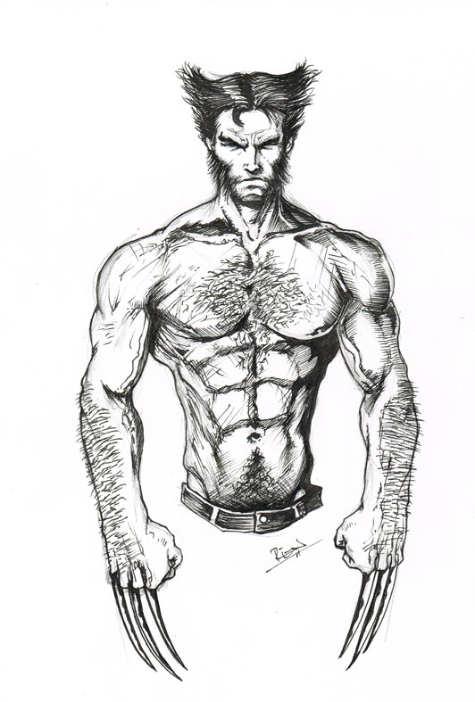 Wolverine $20 donation reward