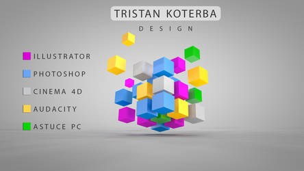 Tristan Koterba