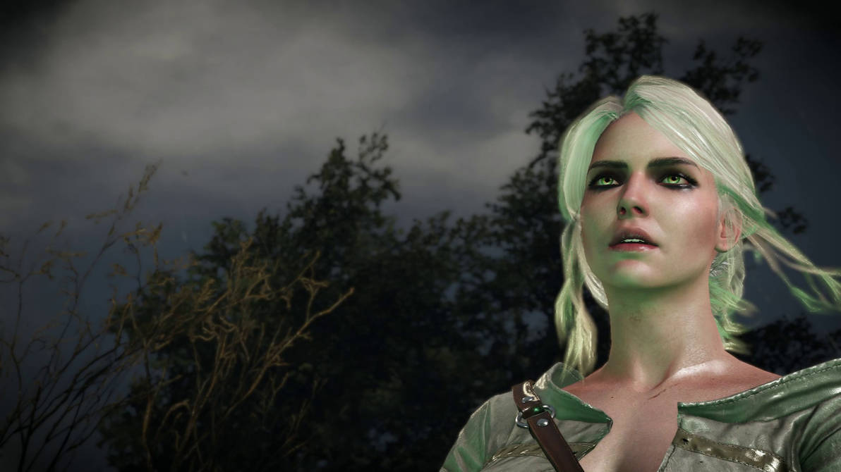 Ciri Character Mod The Witcher 3 | Mods - Ciri Series 2 by ModdedHDGames on DeviantArt
