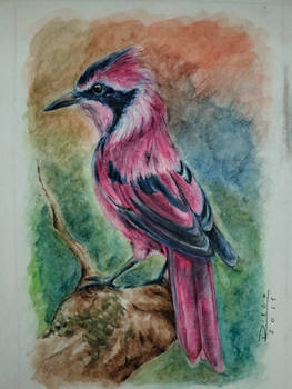 Watercolor bird