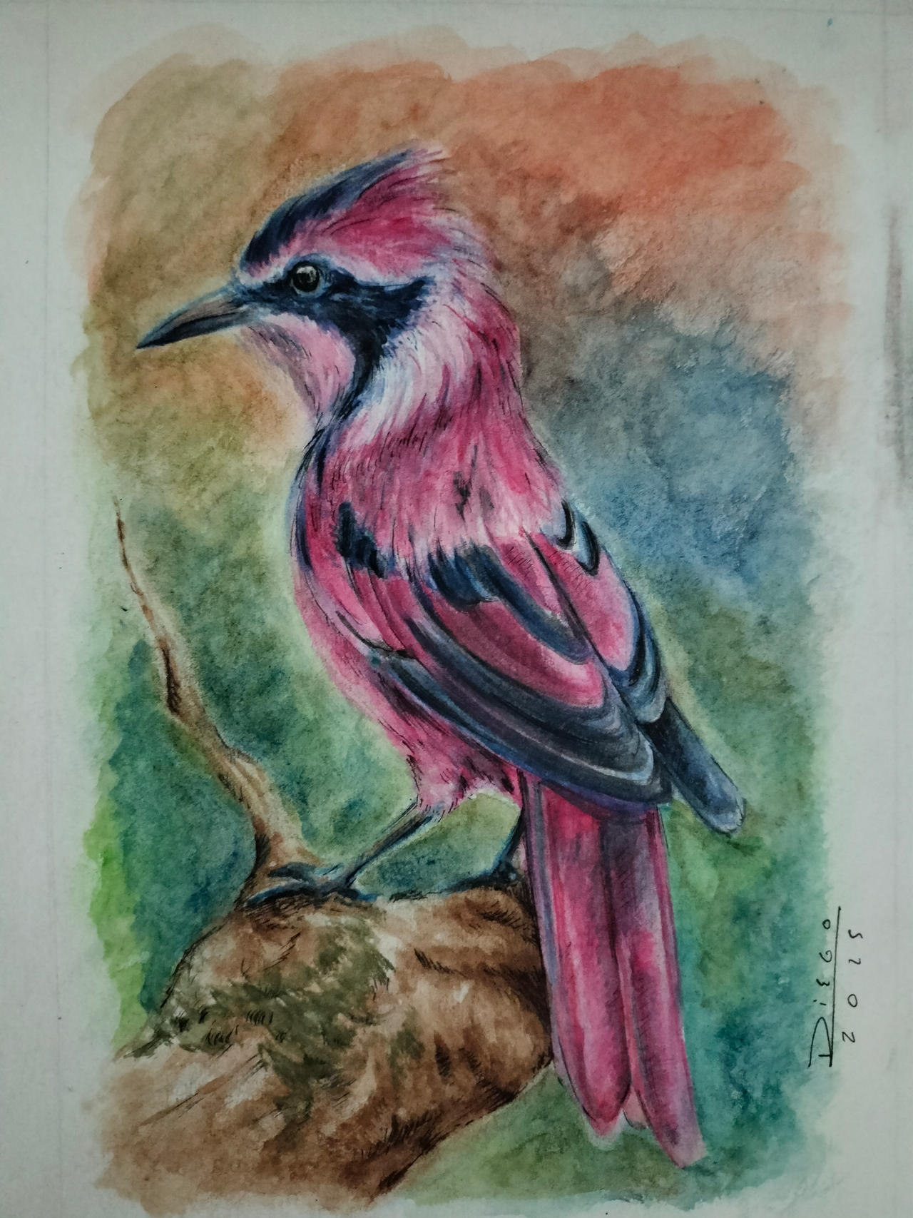 Watercolor bird