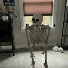 Female Skeleton by kaleb132007 on DeviantArt