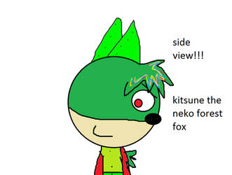 Kitsune side veiw!