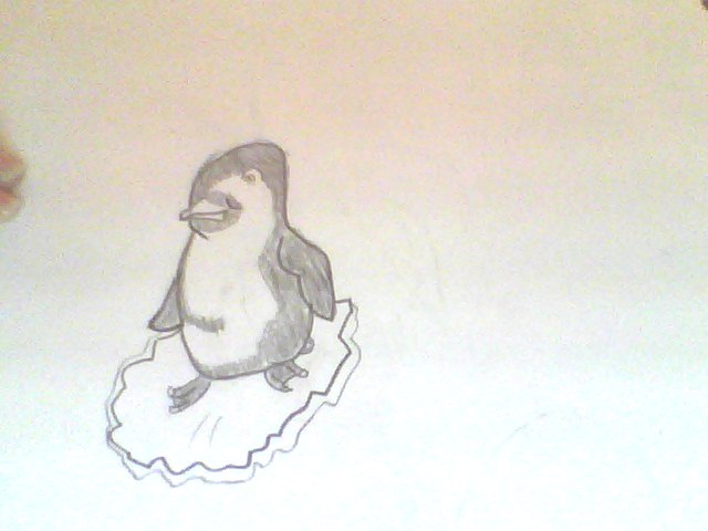 the penguin i drew