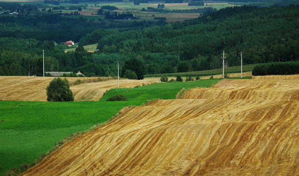 land waves. by marmittes on DeviantArt