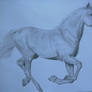 Galloping Horse I