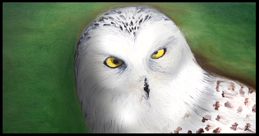 arctic owl  oil painting