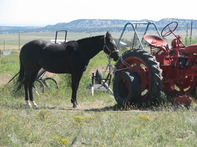 horse and tractor