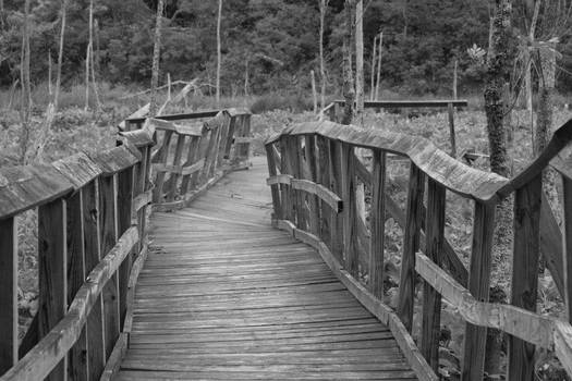 Rickety Bridge