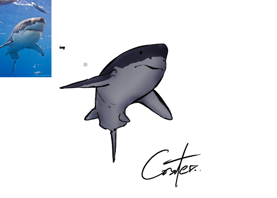 Shark By CasterMation001 On DeviantArt shark-by-castermation001-on-deviantart