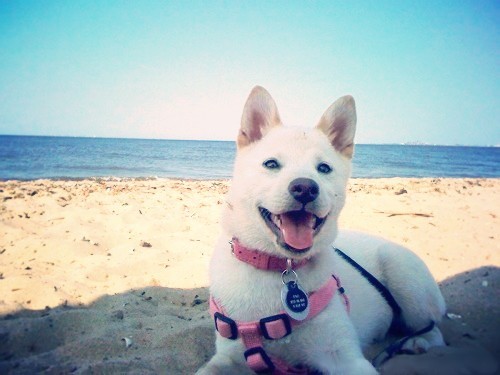 Enjoying the Surf