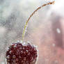 Cherry with Bubbles