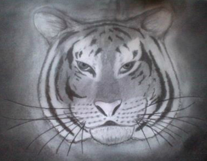 charcoal tiger head