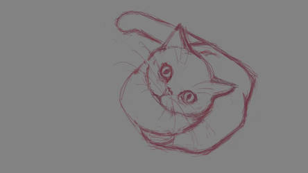 033013 - Sketch - Random Cat