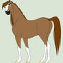 Red Dun Mustang Stallion