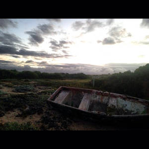 Boat out of water