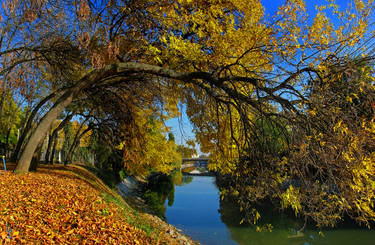 Autumn in my town