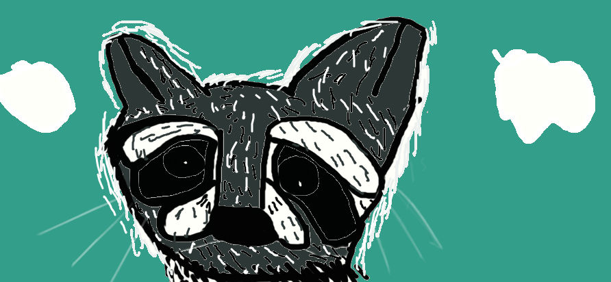 Jimmyty Raccon Jimmy The Raccoon by VVCatt on DeviantArt