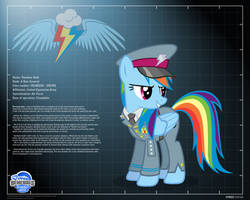 General Rainbow Dash - profile info