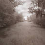 IR: Bayou1