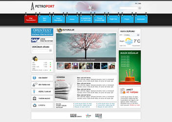 SharePoint Intranet Portal