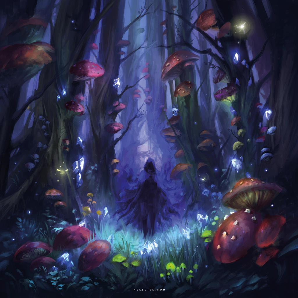 Dark Mushroom Forest