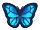 Emperor Butterfly