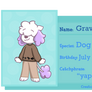 Town NPC - Gravy