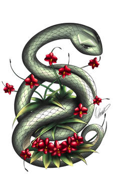 I drew a snake