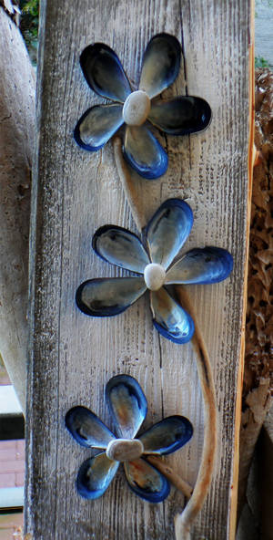 Sea Flowers