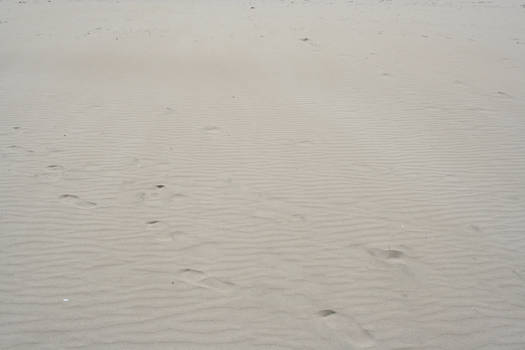 sand1