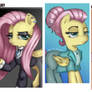 Flutter SHOW