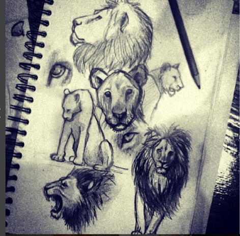 Lions