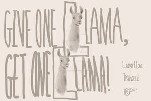 Llama 4 llama