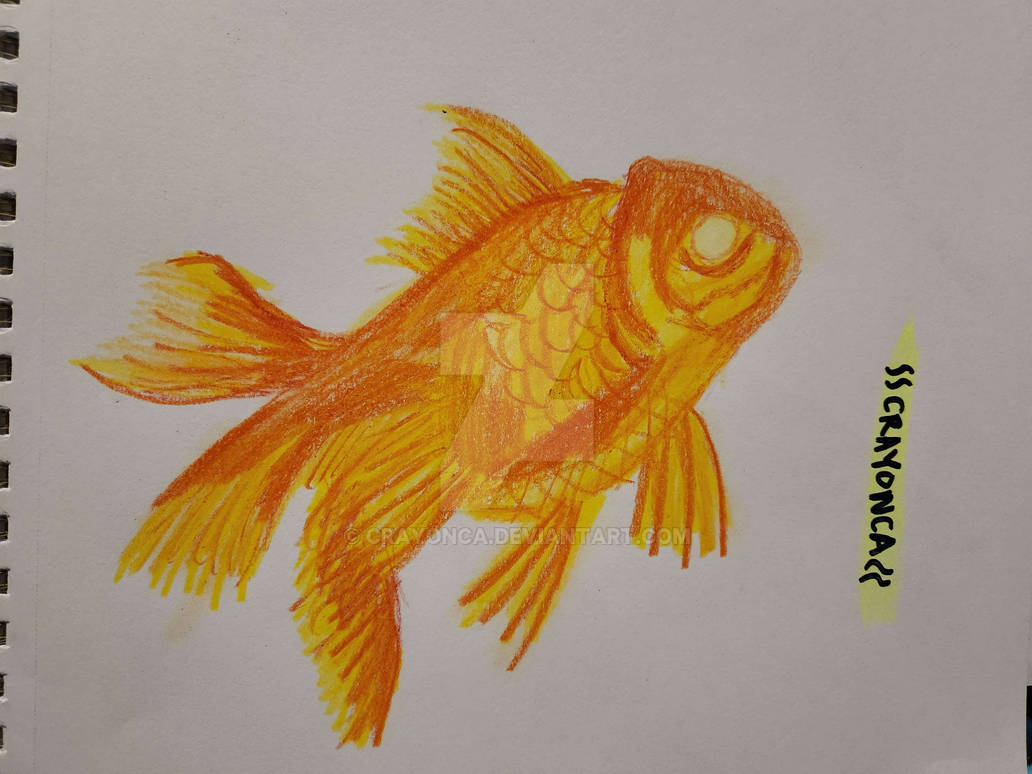 FAIL FISH by Crayonca on DeviantArt
