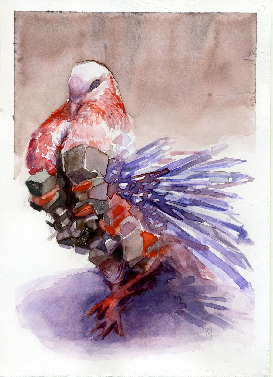 Rock pigeon