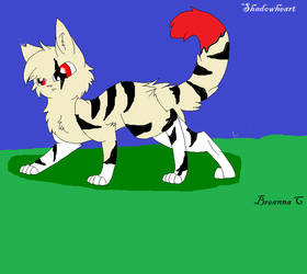 Shadowheart Warrior cat oc