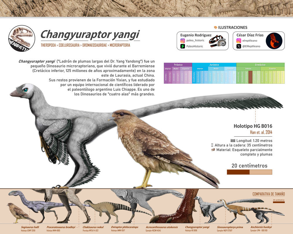 Chang Raptor Mode #PaleoFichas - Changyuraptor yangi. by Warpath17 on DeviantArt