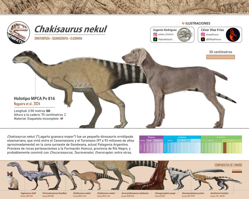 Chakisaurus Size #PaleoFichas - Chakisaurus nekul MPCA Pv 816 by Warpath17 on DeviantArt