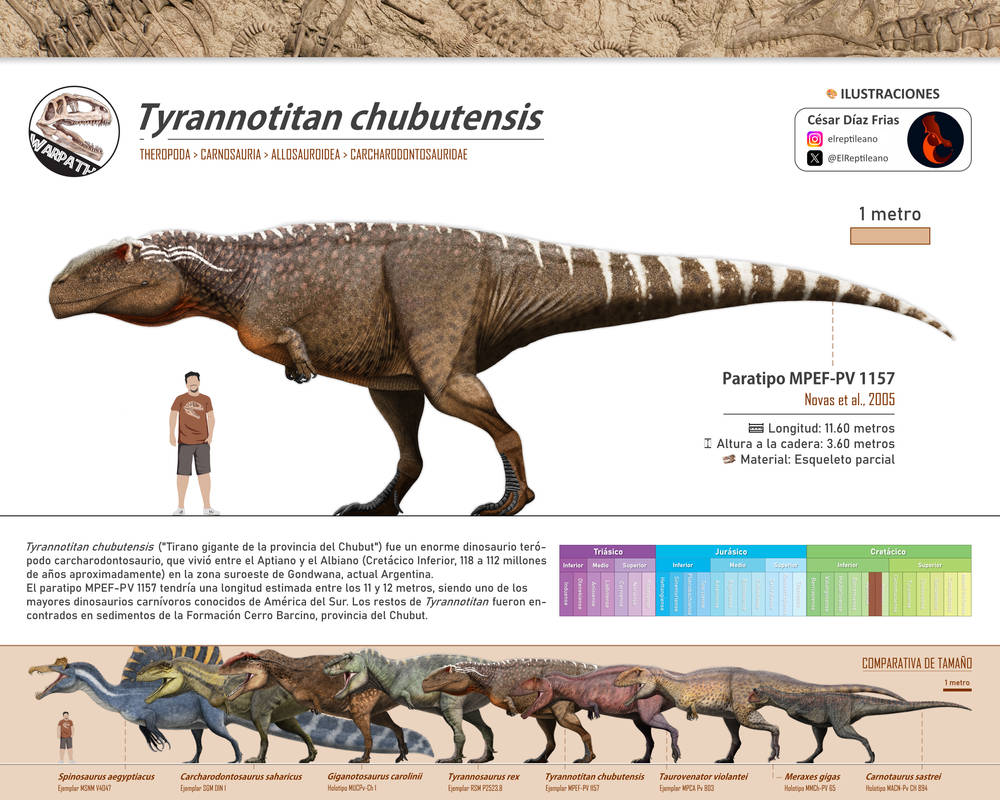 Tyrannotytan Tyrannotitan chubutensis MPEF-PV 1157 by Warpath17 on DeviantArt