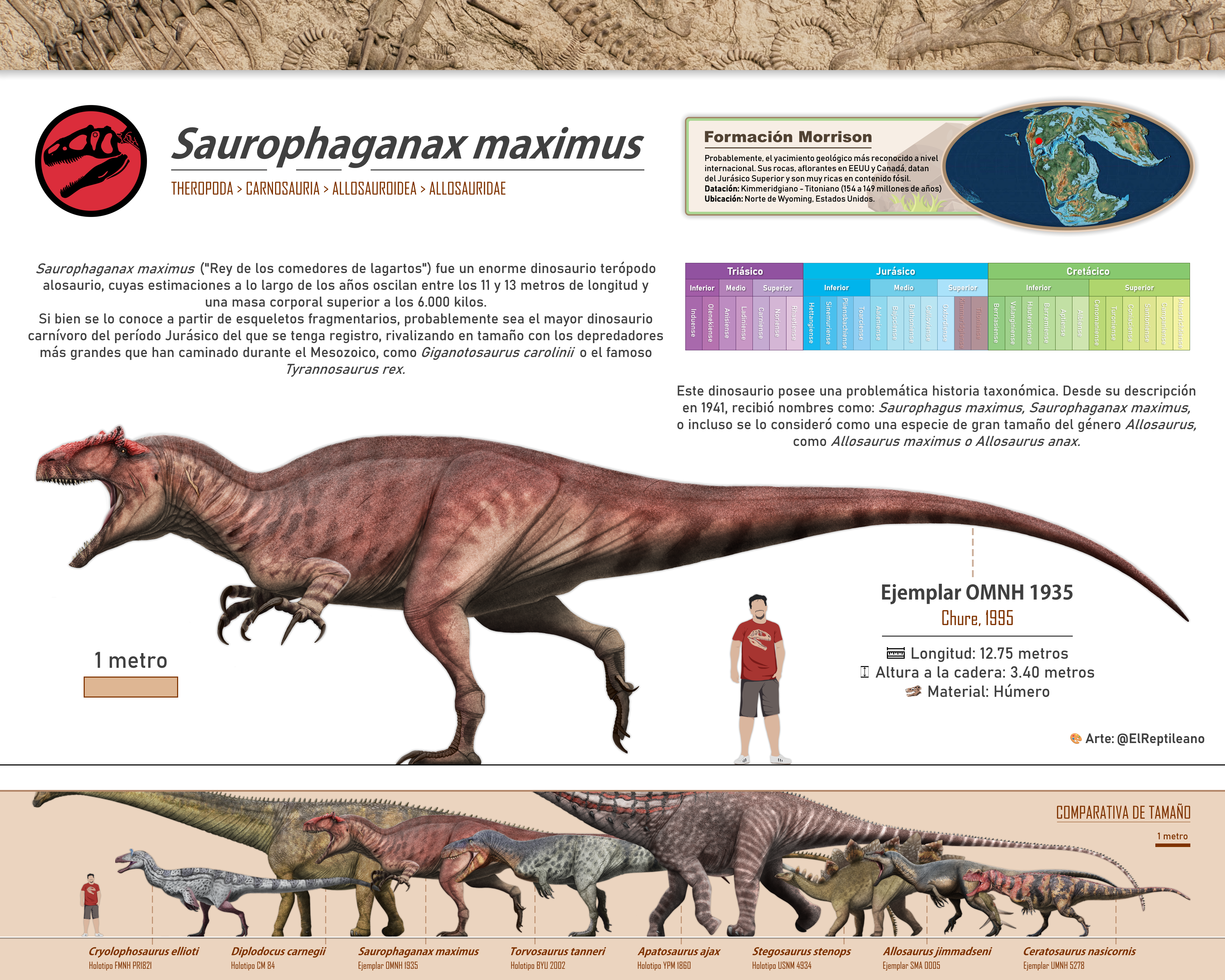 Atlasaurus Size Allosaurus Anax Size Comparison