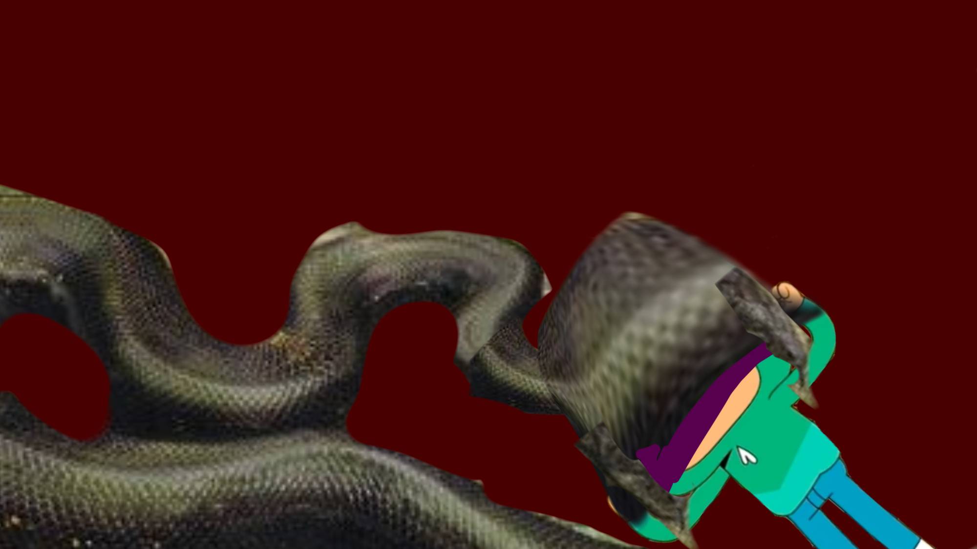 Bemies Python Bernie being swallowed by a python by Olliespack on DeviantArt
