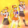 Pretty Guardian Sailor Venus (90's ver)