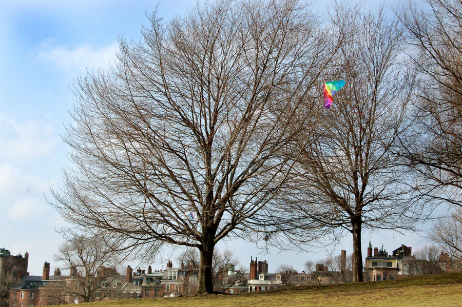 Kiteman 4 by milescat on DeviantArt