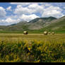 Castelluccio di Norcia ...