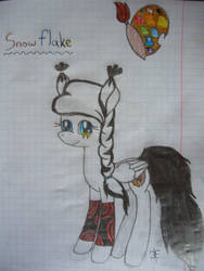 My pony Snowflake