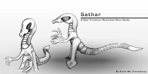 SATHAR ::: Race study